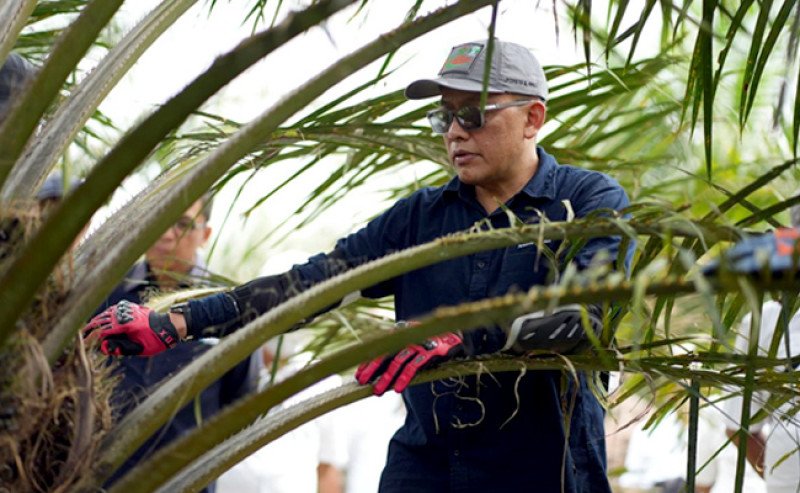 Perkuat Aset dan Transformasi Digital, PTPN IV PalmCo Percepat ROA 10 Persen di 2029