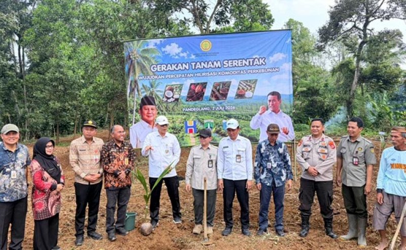Kementan Gelar Gerakan Tanam Serentak Kelapa di Pandeglang, Dorong Produktivitas dan Hilirisasi Perkebunan