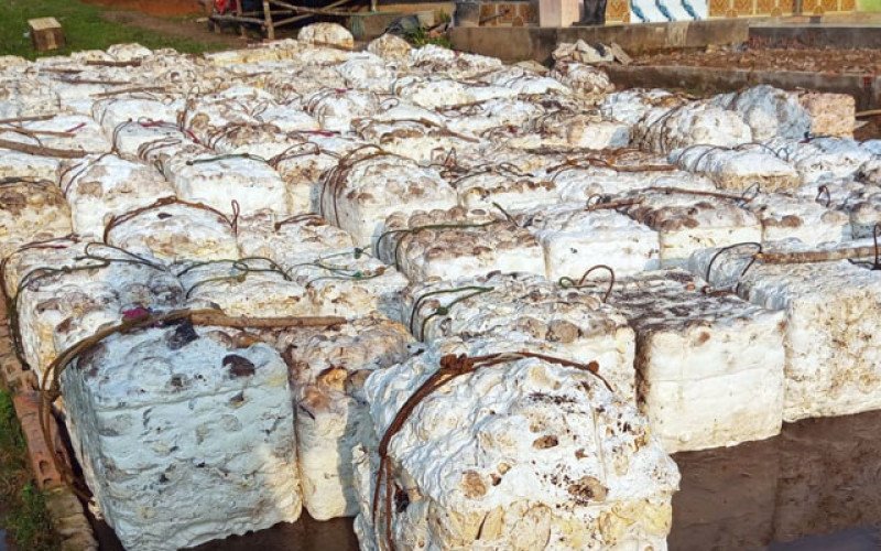 Harga Karet SGX-Sicom Kamis (23/7) Rebound ke Rp38.917/Kg, Kembali Dekati Rp39 Ribu