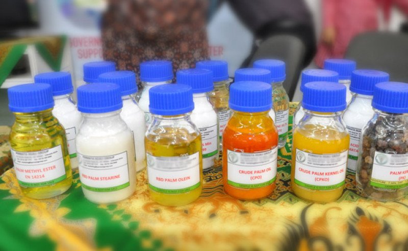 Harga CPO KPBN Inacom Terkoreksi ke Rp15.750/Kg, Bursa Malaysia Menguat Ditopang Optimisme Ekspor