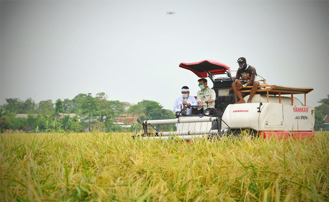 10 Districts within High Rice Production