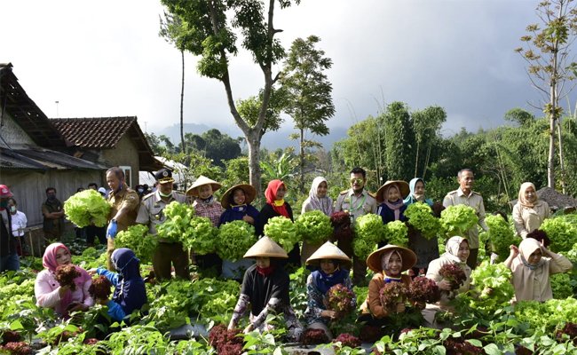 Agriculture Krida Day, SYL: Should be Optimist to Agriculture in Indonesia