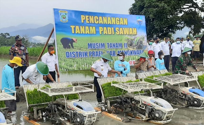 Governor of West Papua Proposed the Paddy Planting Acceleration
