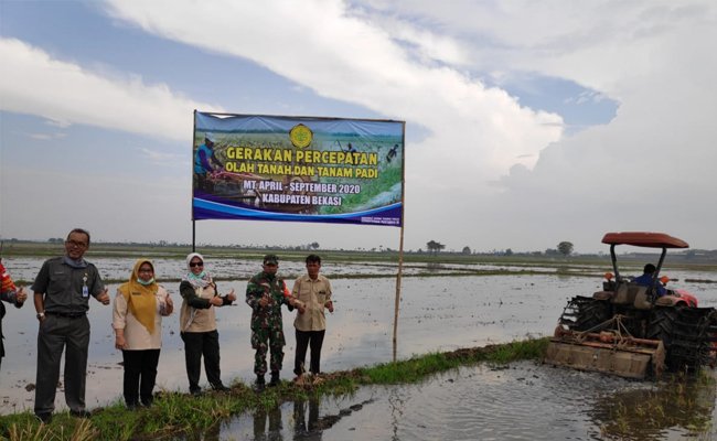 Ministry of Agriculture Monitored the Paddy Planting Acceleration in Bekasi