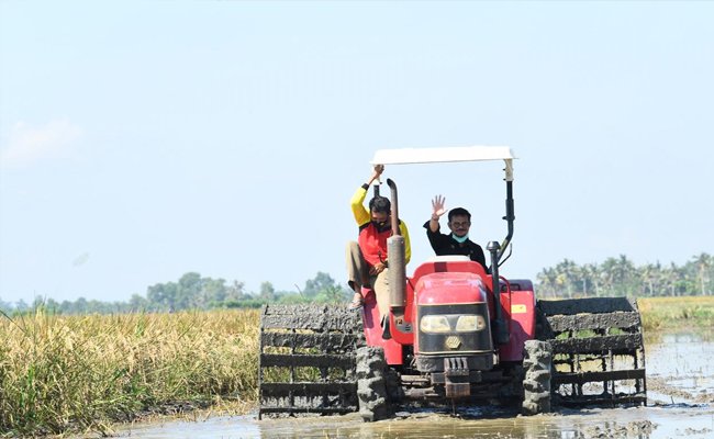 Percepat Ekspor, Kementan Komitmen Kembangkan Cold Chain Komoditas Hortikultura