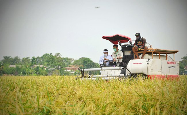 Top 10 Provinces Producing Rice