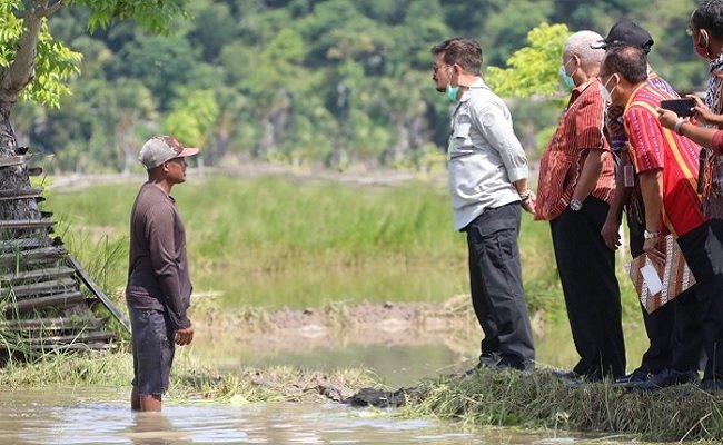 Indonesia Jadi Anggota Dewan FAO, Kado Istimewa Hari Krida Pertanian ke-49