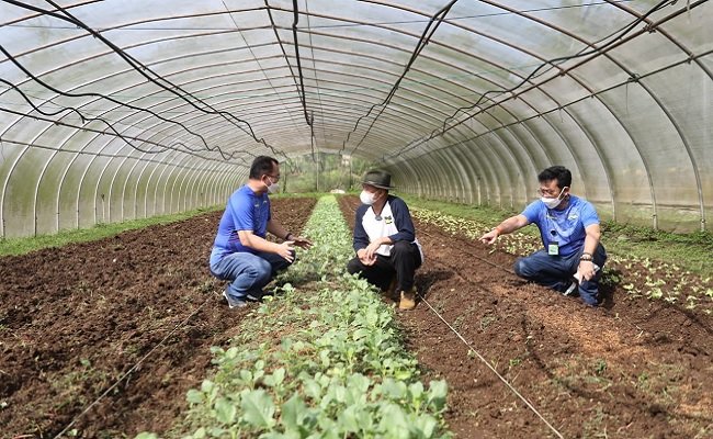 Mentan SYL dan Menkop UKM Gandeng IPB Wujudkan Korporatisasi Sektor Pertanian