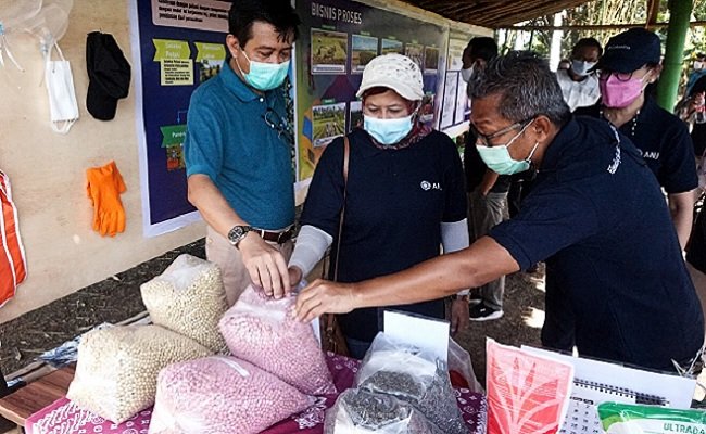 Tinjau Pabrik Milik ANJ, Tiga Kementerian Dukung Pengembangan Edamame di Jember