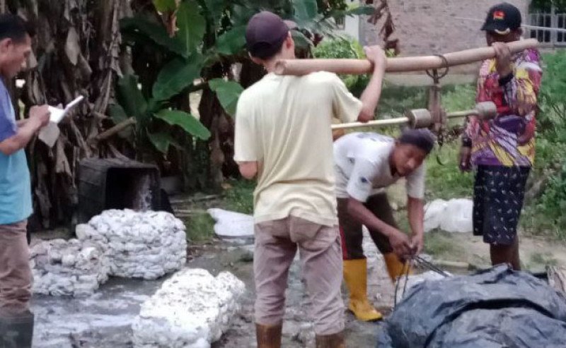 Harga Karet SGX Sicom Selasa 10 Juni 2025 Naik Tipis, Tertinggi Rp 26.157 per Kg