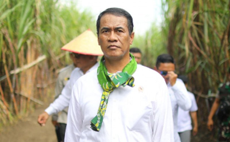 Ini 6 Strategi Mentan Amran Capai Swasembada Gula Nasional