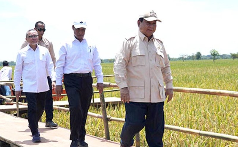 Fokus: Indonesia Sebagai Produsen Beras Terbesar ASEAN, Menuju Ketahanan Pangan dan Energi Nasional.