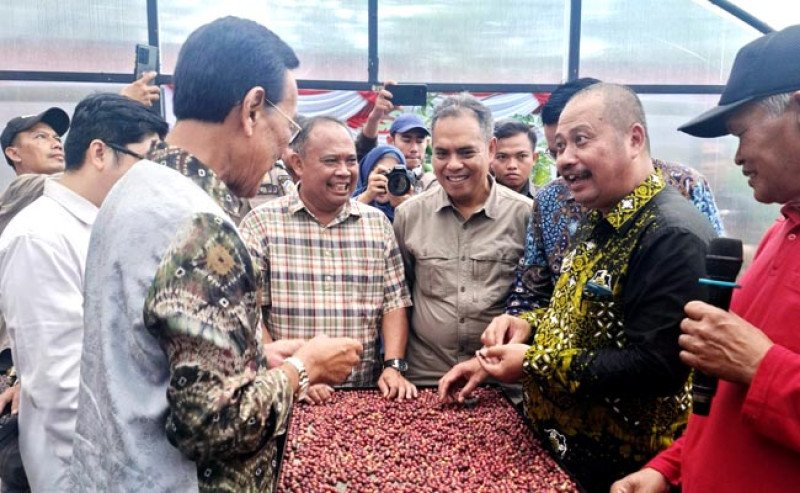 Gelar Panen Perdana di Sleman: Kementan Dorong Hilirisasi dan Agrowisata Kopi