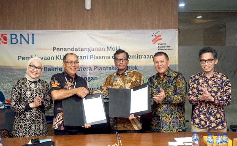 Bakrie dan BNI Dukung Peremajaan Sawit Rakyat untuk Ketahanan Pangan dan Energi