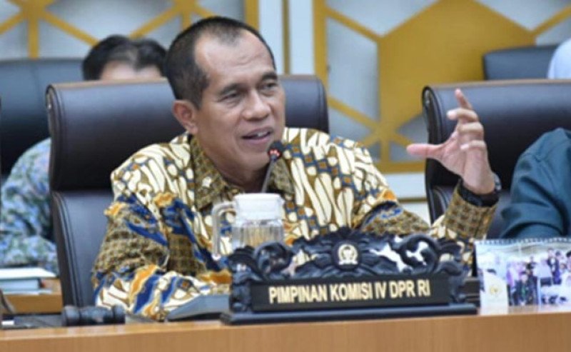 Komisi IV DPR: Optimisme Swasembada Pangan Harus Dibangun Berdasarkan Data dan Fakta