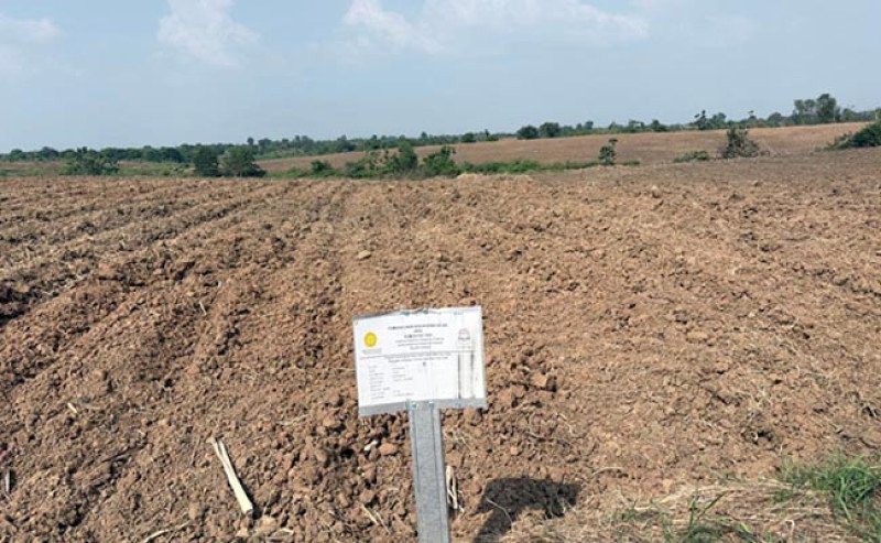 Kebun Benih Tebu 200 Hektare Rampung di Jabar, Varietas Panjalu 1 Siap Dibagikan Gratis Oktober–November 2026