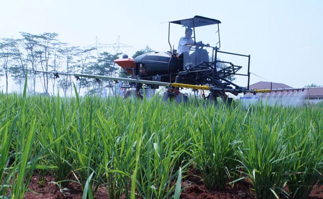 Anticipate the Global Dynamic of Economy by the Domestic Production