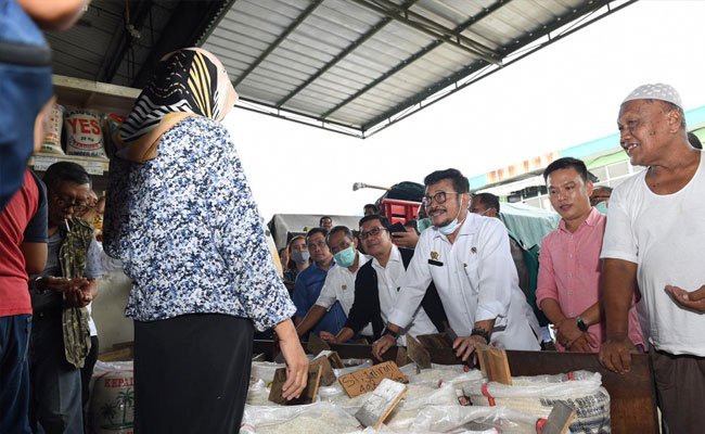 HKTI Minta Bulog Lakukan Persiapan Penyerapan Panen Raya