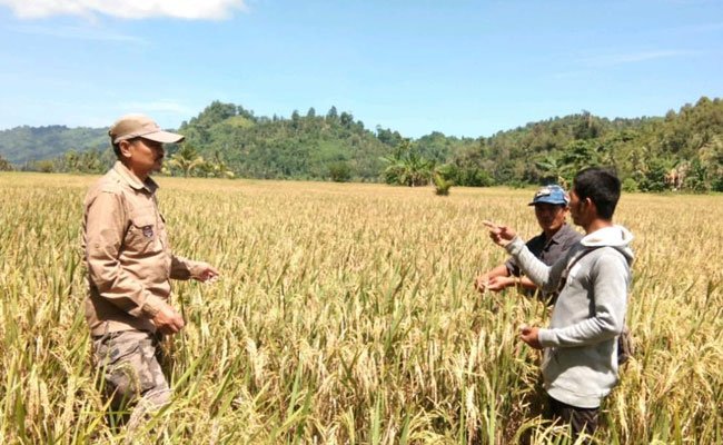 Ministry of Agriculture Prioritizes to Increase the Infrastructures for the Counselors