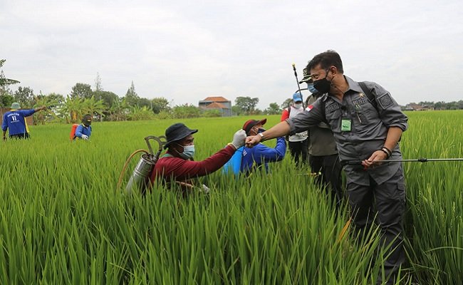 Perkuat Perekonomian, Mentan SYL Gerakan Padat Karya di Karanganyar