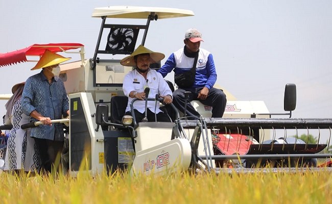 The Massive Harvest Took Place, SYL Urged Kostraling and Bulog Optimally Work