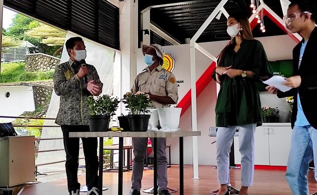 Tik Talk about Artificial Plants: The Tips and Tricks from Millennial Businessmen