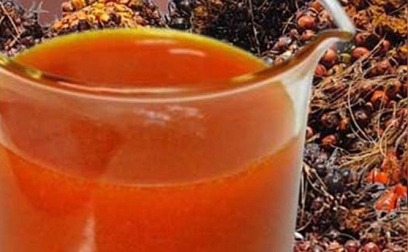 Pemerintah Sesuaikan Tarif Pungutan Ekspor Sawit, Dukung Produktivitas Kebun dan Program Biodiesel