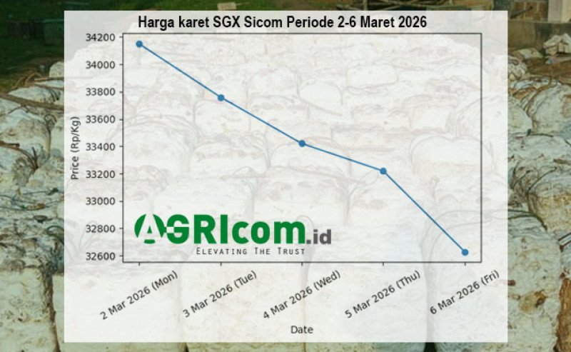 Harga Karet Global Minggu Pertama Maret 2026 Anjlok 4,45 Persen Akibat Ketidakpastian Ekonomi dan Ketegangan Geopolitik