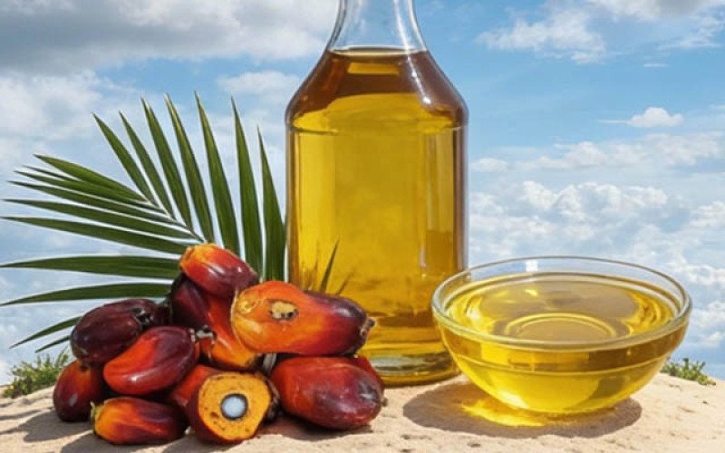 Harga CPO KPBN Withdraw di Rp 15.500/Kg, Sementara Bursa Malaysia Menguat Tiga Hari Beruntun Pada Jumat 13 Maret 2026