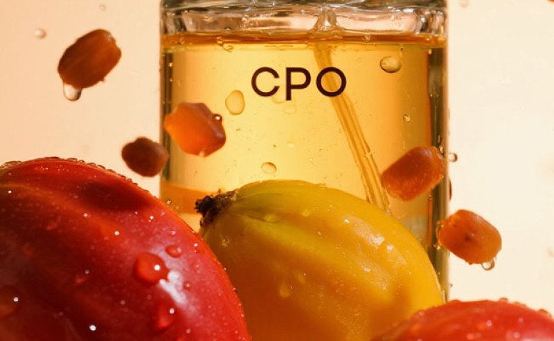 Harga CPO Malaysia Turun, Tertekan Soyoil dan Isu Kebijakan B50 Indonesia