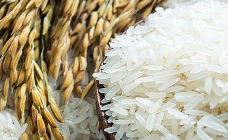 Panen Raya Majalengka Tembus 11,5 Ton/Ha, Perkuat Stok Beras Nasional 2026