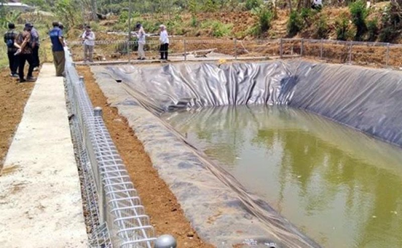 Kementan Perkuat Strategi Mitigasi Kekeringan, Jaga Produktivitas Perkebunan Nasional