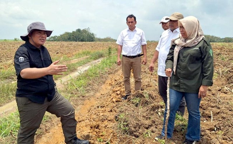 Cuaca Ekstrem Ancam Perkebunan RI, Kementan Gaspol Strategi Adaptasi untuk Selamatkan Produksi & Petani