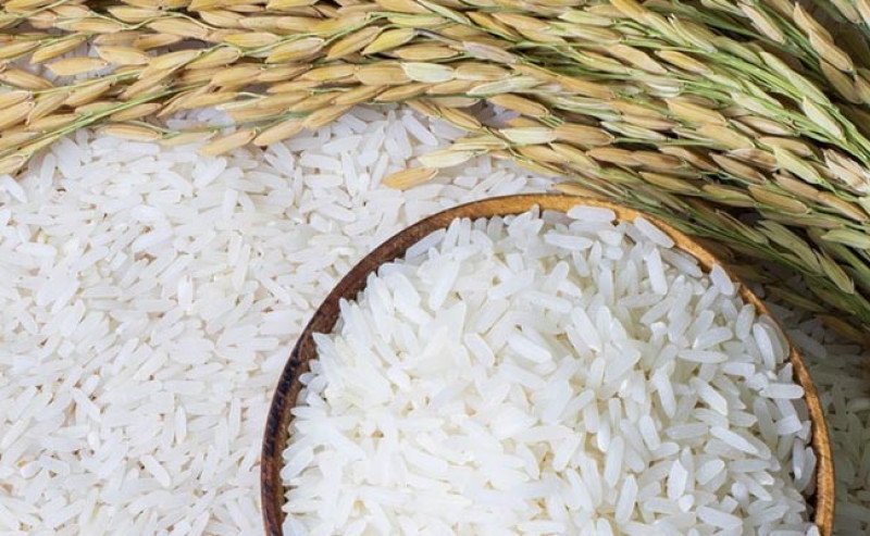 WFP Sebut Krisis Pangan Global Mengintai 45 Juta Orang, Indonesia Justru Surplus Beras