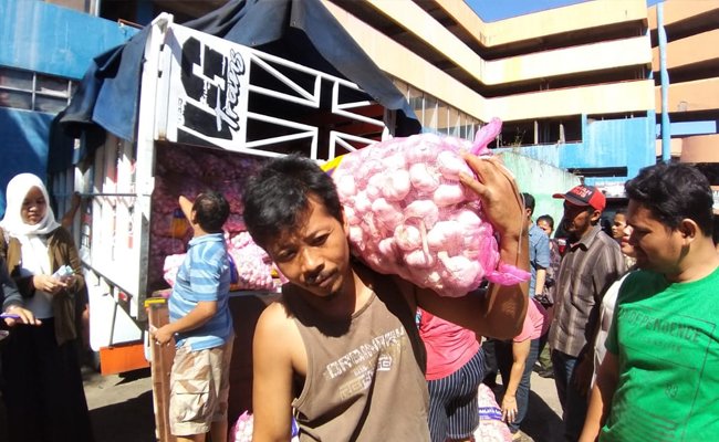 Kementan Jamin Persediaan dan Harga Bawang Putih Hingga Idul Fitri Aman, Ini Alasannya