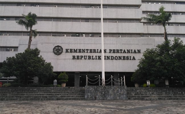 Badan Litbang Kementan Temukan Potensi Eucalyptus Untuk Cegah Corona