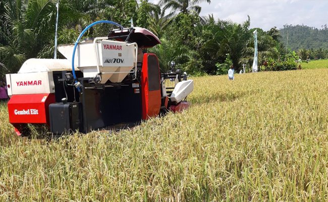 Governor of Riau: The Agriculture Should not Stop; Plant in Your Region