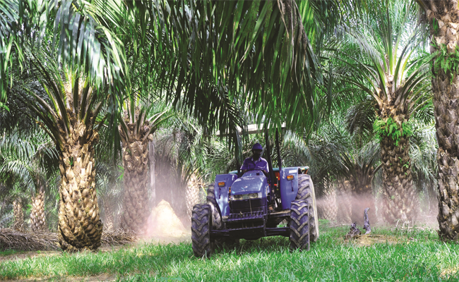 Dongkrak Produksi Pangan, Kementan Dorong Penggunaan Pupuk Berimbang