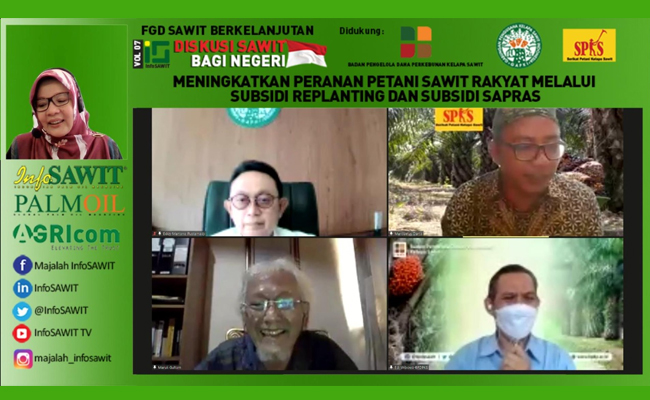 FGD Sawit Berkelanjutan Vol7: Mendongkrak Kinerja Kebun Petani Sawit