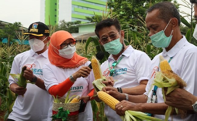 Mentan SYL: Diversifikasi Pangan Strategi Ketahanan Pangan Di Tengah Pandemi