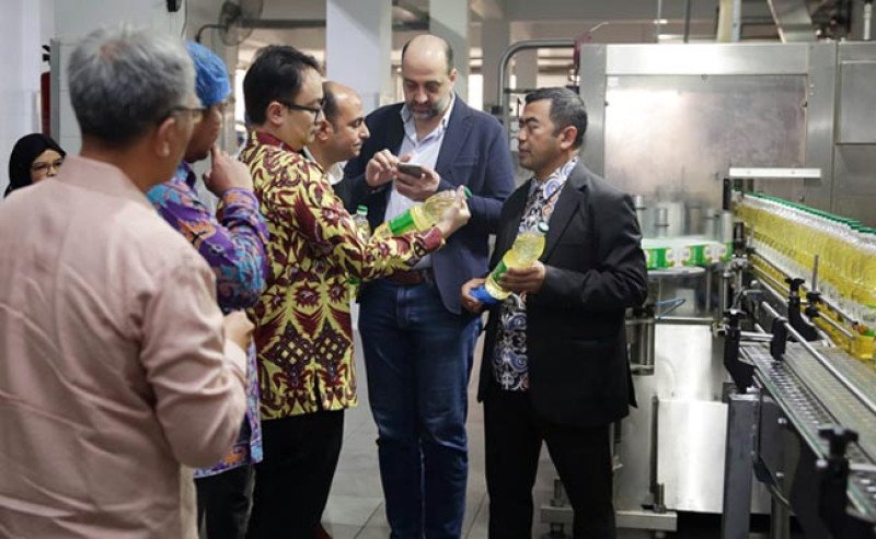 Wamendag Jerry Sambuaga Siapkan Kolaborasi Indonesia-Mesir di Sektor Minyak Kelapa Sawit