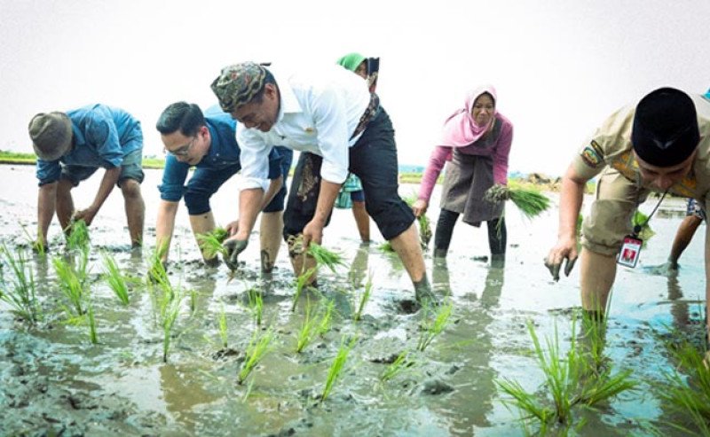 Mentan Dorong Pulau Madura Jadi Contoh Swasembada dan Lumbung Pangan Global