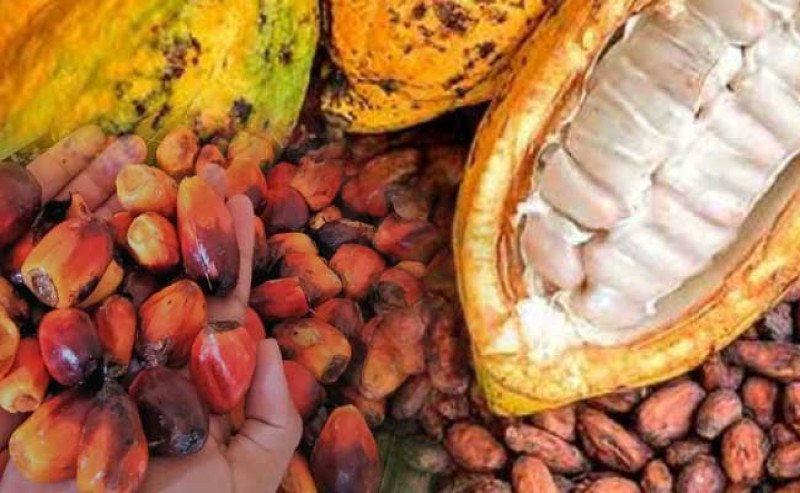 Editorial: Bisnis Agrikultur Melibatkan Semua Proses Supply Chain