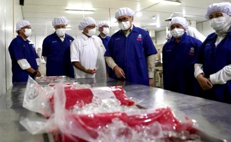 Mendag Busan Lepas Ekspor Tuna Beku ke UEA, Manfaatkan CEPA untuk Akses Pasar Lebih Luas