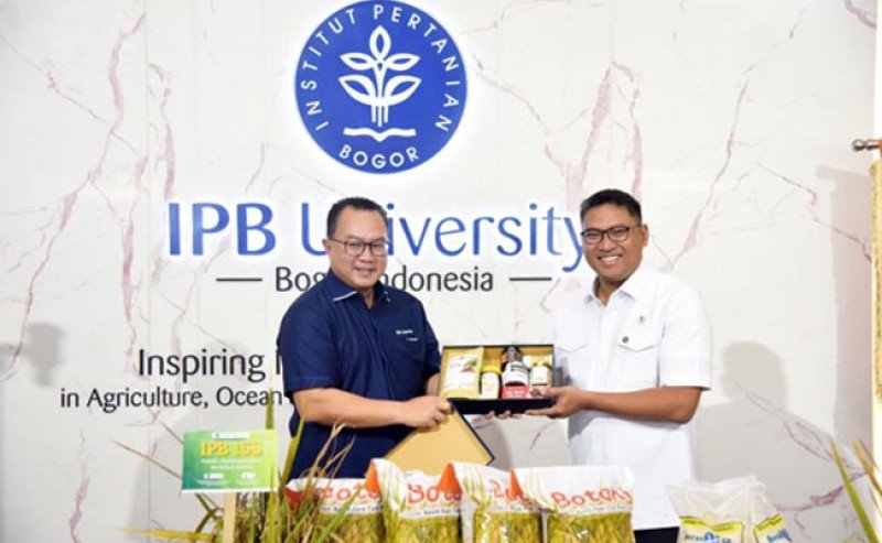 IPB University dan Wamentan Luncurkan Varietas Padi Unggul Baru