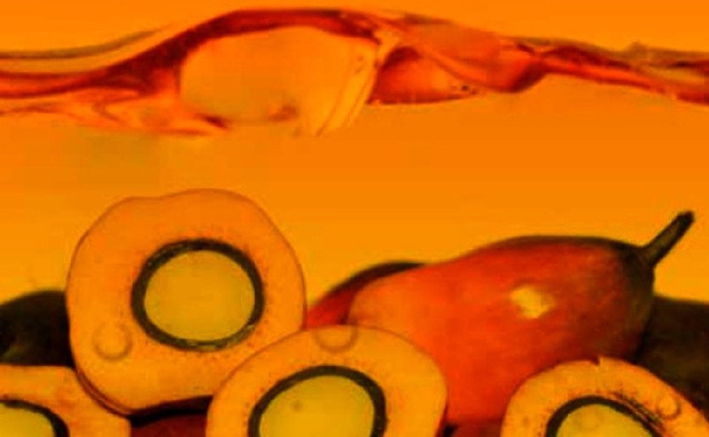 Harga CPO KPBN Inacom Jumat (16/5) Turun, Sementara di Bursa Malaysia Naik