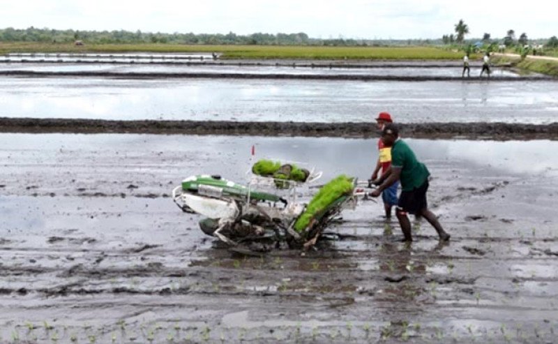 Kementan Dorong Modernisasi Pertanian Lewat Penggunaan Rice Transplanter
