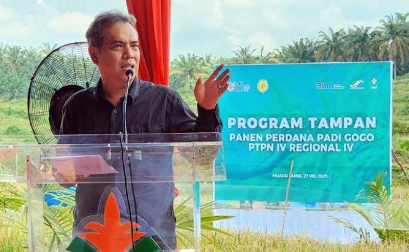 Kementan Bersama PalmCo Panen Perdana Padi Gogo di Lahan Sawit Jambi