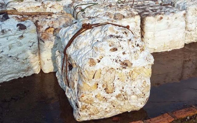 Harga Karet SGX-Sicom Rabu (13/5) Turun Tipis ke Rp38.651 Per Kg