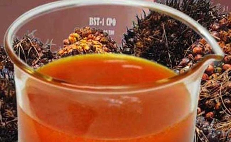 Harga CPO Malaysia Melemah Dua Hari Beruntun 